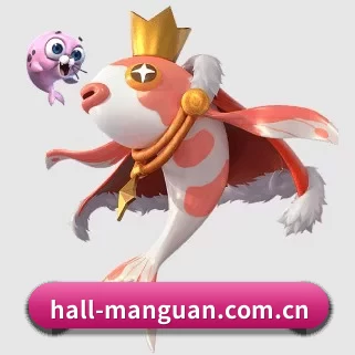 国际化进程 - 全球化战略取得重大进展,千万用户共同见证hall-manguan.com.cn成长。